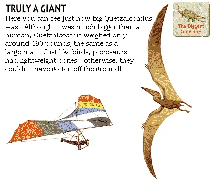 Truly a Giant