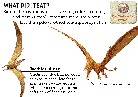 What Did It Eat?
