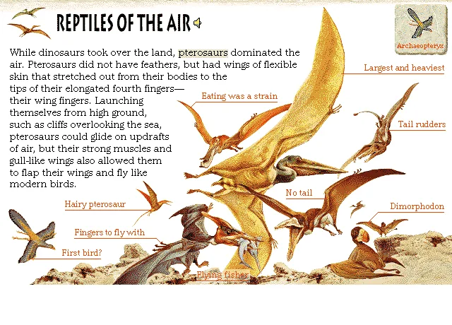 Reptiles of the Air