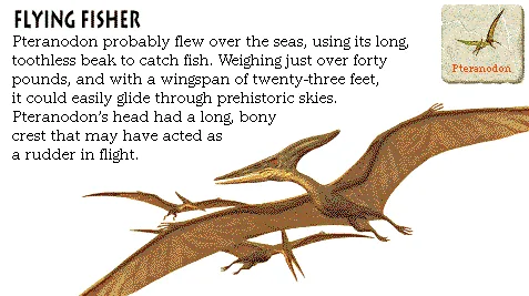 Flying Fisher
