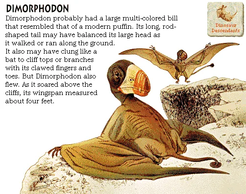 Dimorphodon