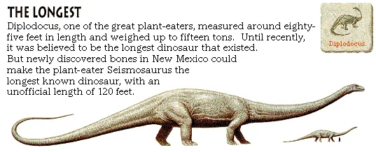The Longest