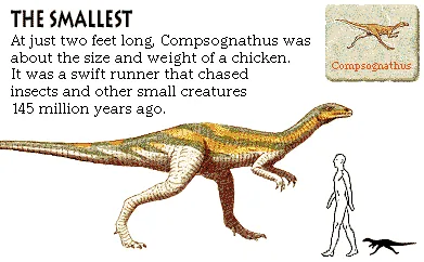 The Smallest