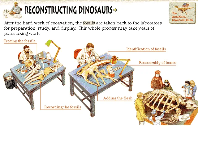 Reconstructing Dinosaurs
