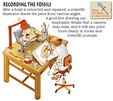 Recording the Fossils