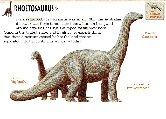 Rhoetosaurus