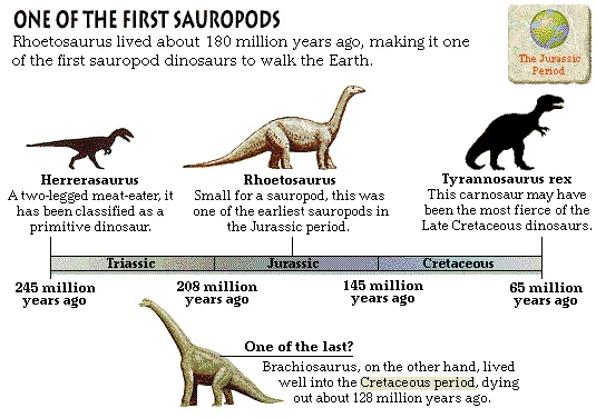 One of the First Sauropods