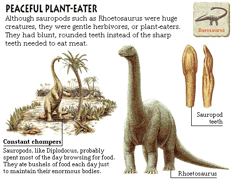 Peaceful Plant-Eater