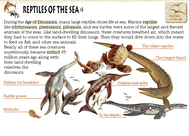 Reptiles of the Sea