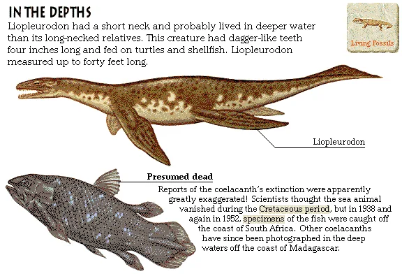 In the Depths