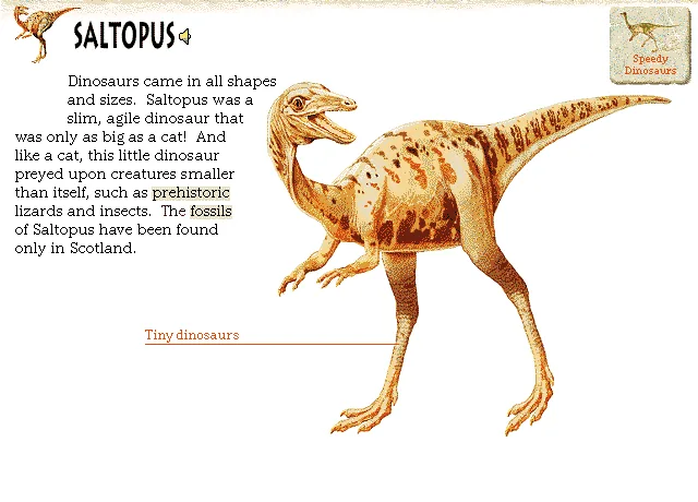 Saltopus