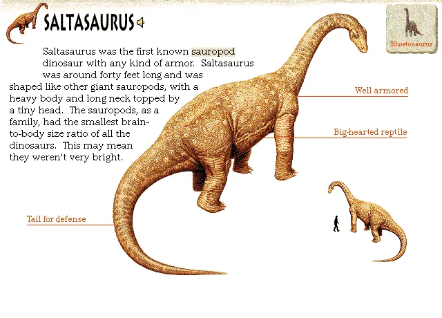 Saltasaurus