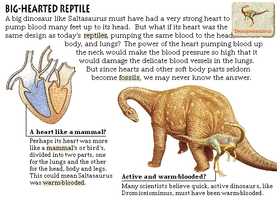 Big-Hearted Reptile