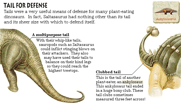 Tail for Defense