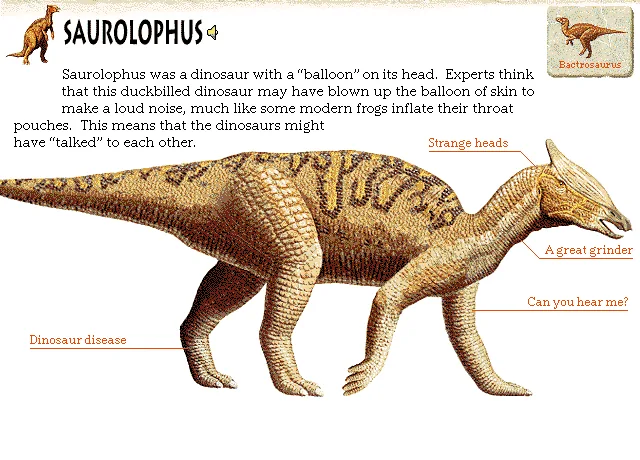 Saurolophus