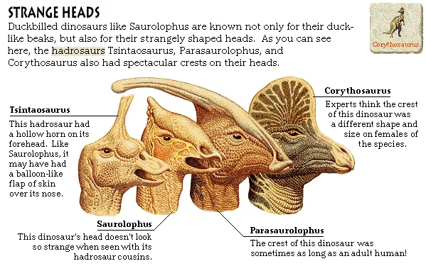 Strange Heads