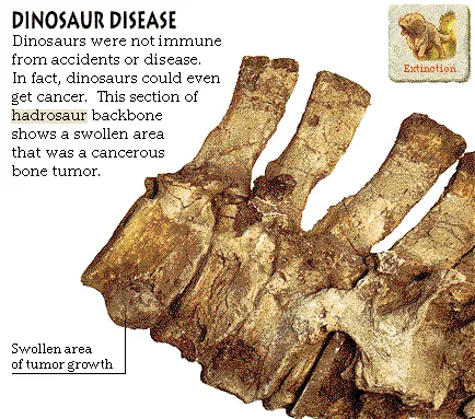 Dinosaur Disease