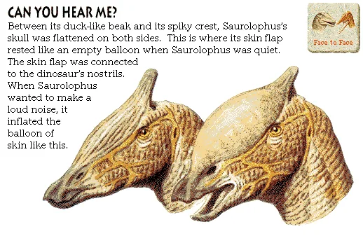 Can You Hear Me?