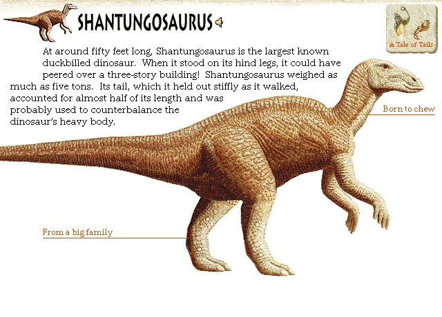 Shantungosaurus