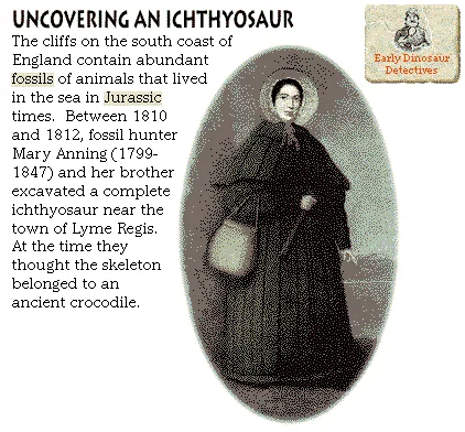Uncovering an Ichthyosaur