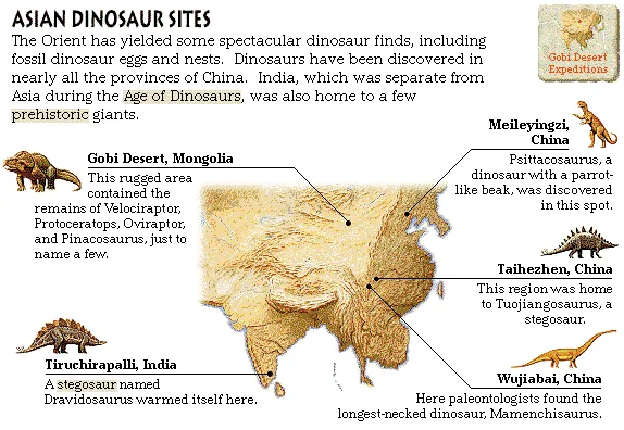 Asian Dinosaur Sites