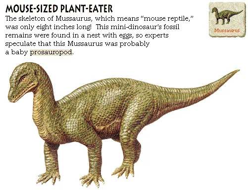 Mouse-Sized Plant-Eater
