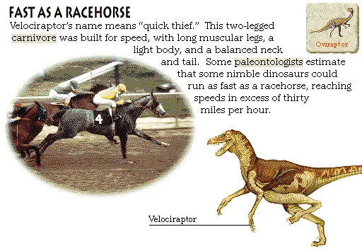 Fast as a Racehorse