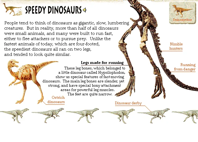 Speedy Dinosaurs