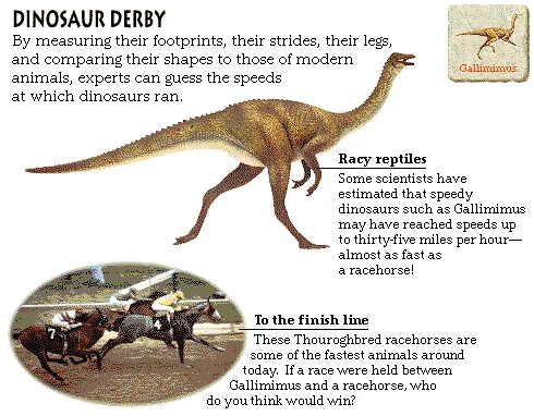 Dinosaur Derby