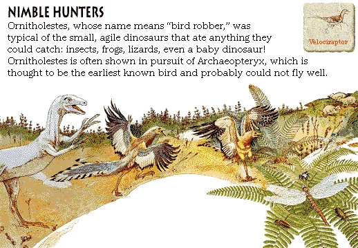Nimble Hunters