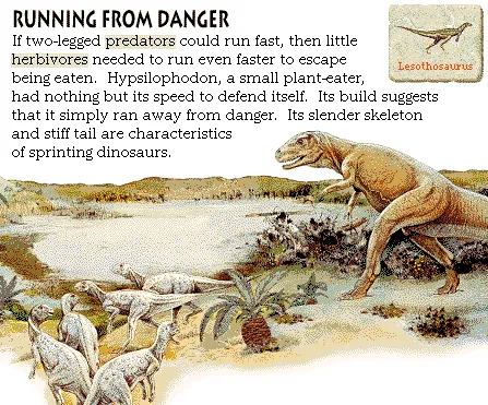 Running from Danger