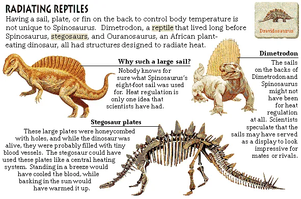 Radiating Reptiles