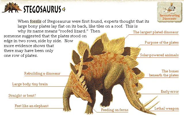 Stegosaurus