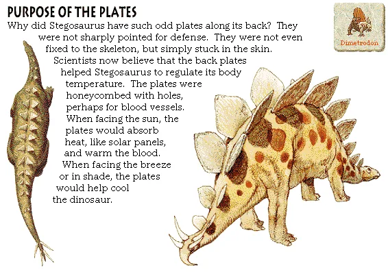 Purpose of the Plates