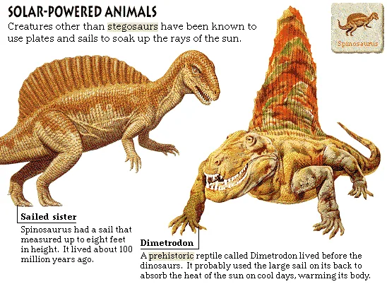 Solar-Powered Animals