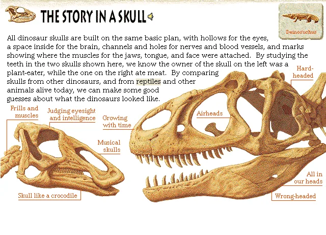 The Story in a Skull