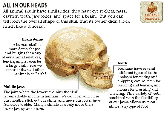All in Our Heads