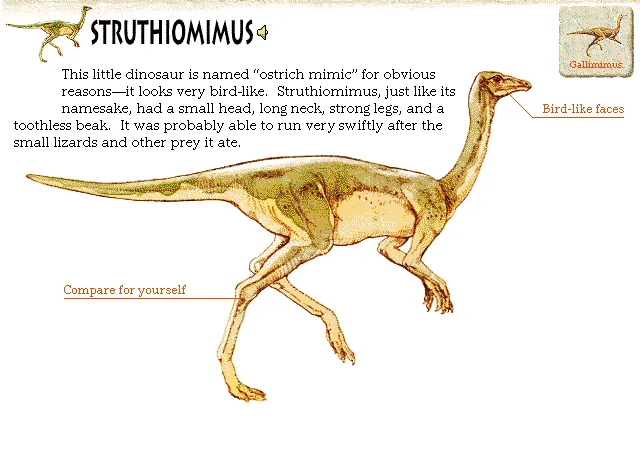 Struthiomimus