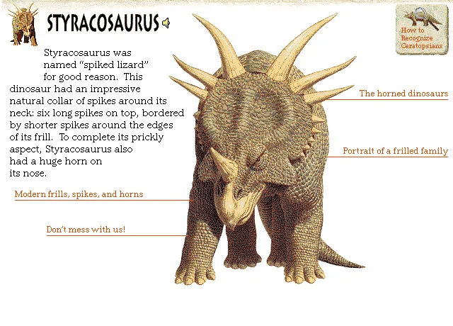 Styracosaurus