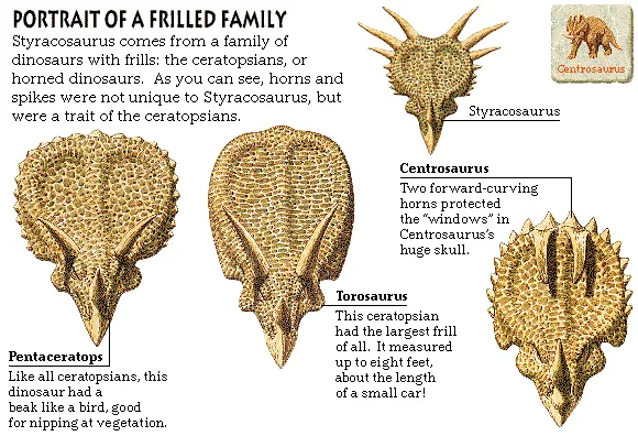 Portrait of a Frilled Family