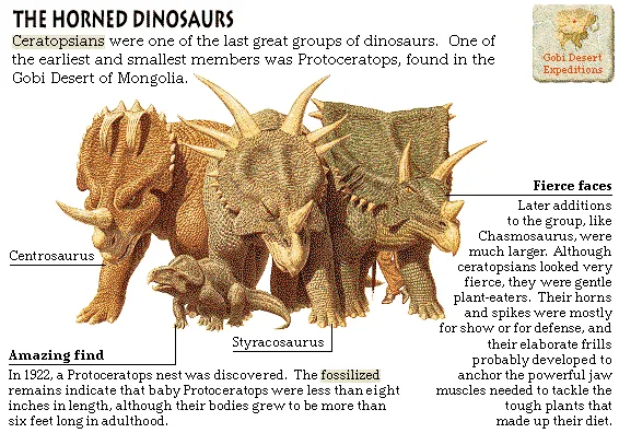 The Horned Dinosaurs
