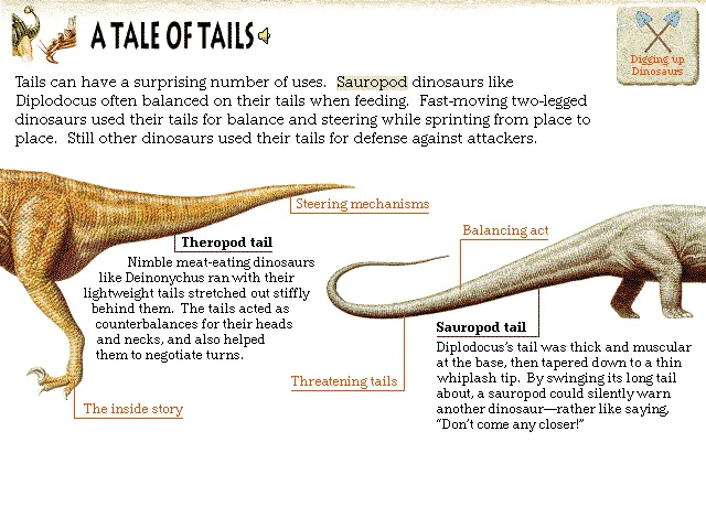 A Tale of Tails