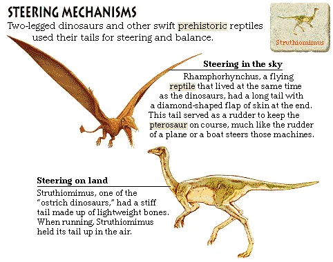 Steering Mechanisms
