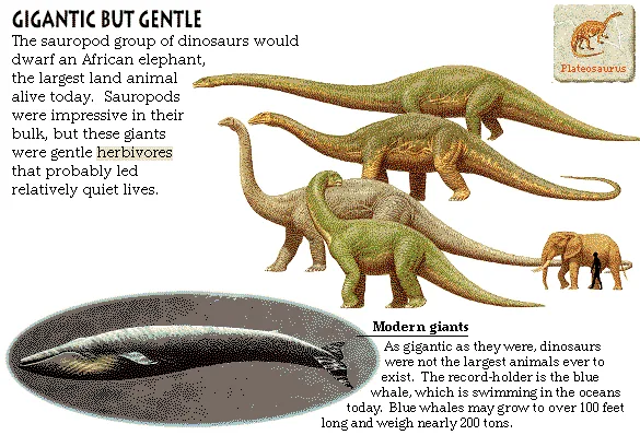 Gigantic But Gentle