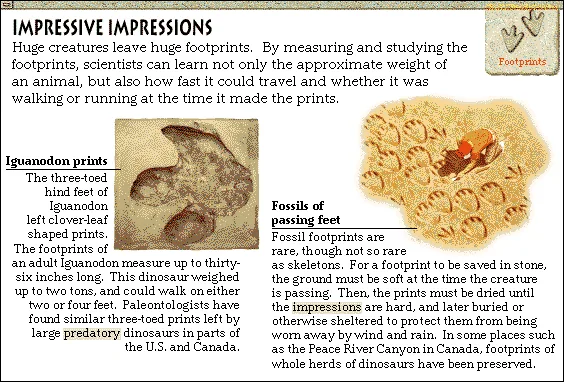 Impressive Impressions