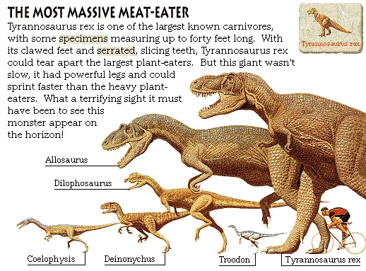 The Most Massive Meat-Eater