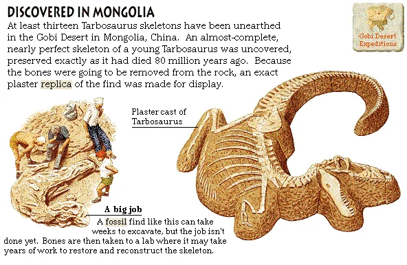 Discovered in Mongolia