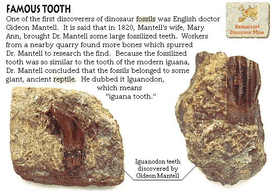 Famous Tooth