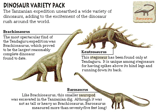 Dinosaur Variety Pack