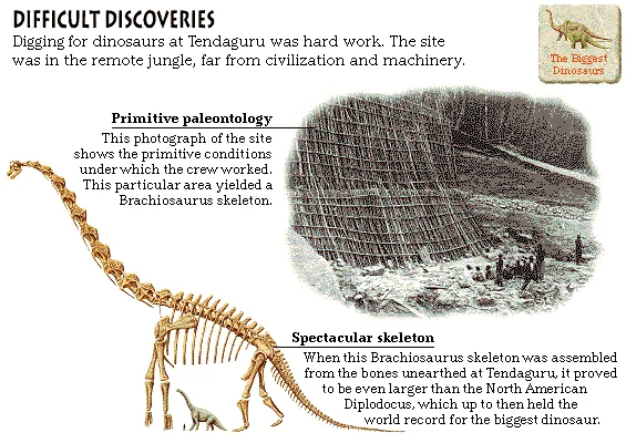 Difficult Discoveries